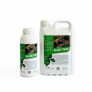 ALGA TWIN